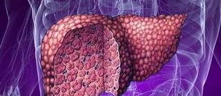 Народные способы лечения печени